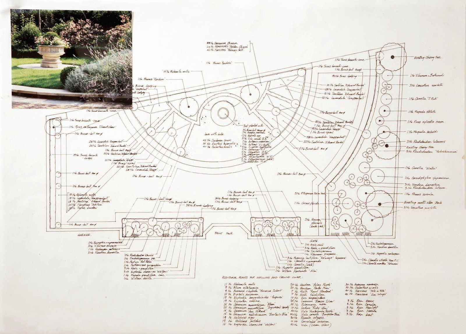 Hand-drawn planting plan for the front garden